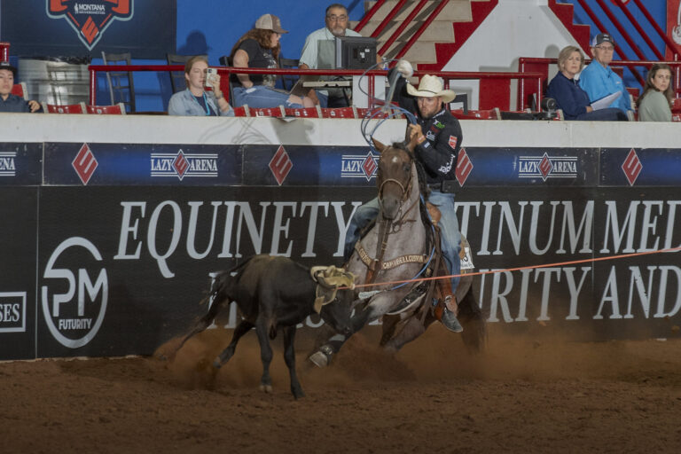 Nu One Time Blues Wins Equinety Platinum Medal Futurity Heeling Championship with Joseph Harrison