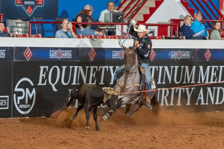 Why Nu One Time Blues is a Must-Use Stallion for Your Next Champion