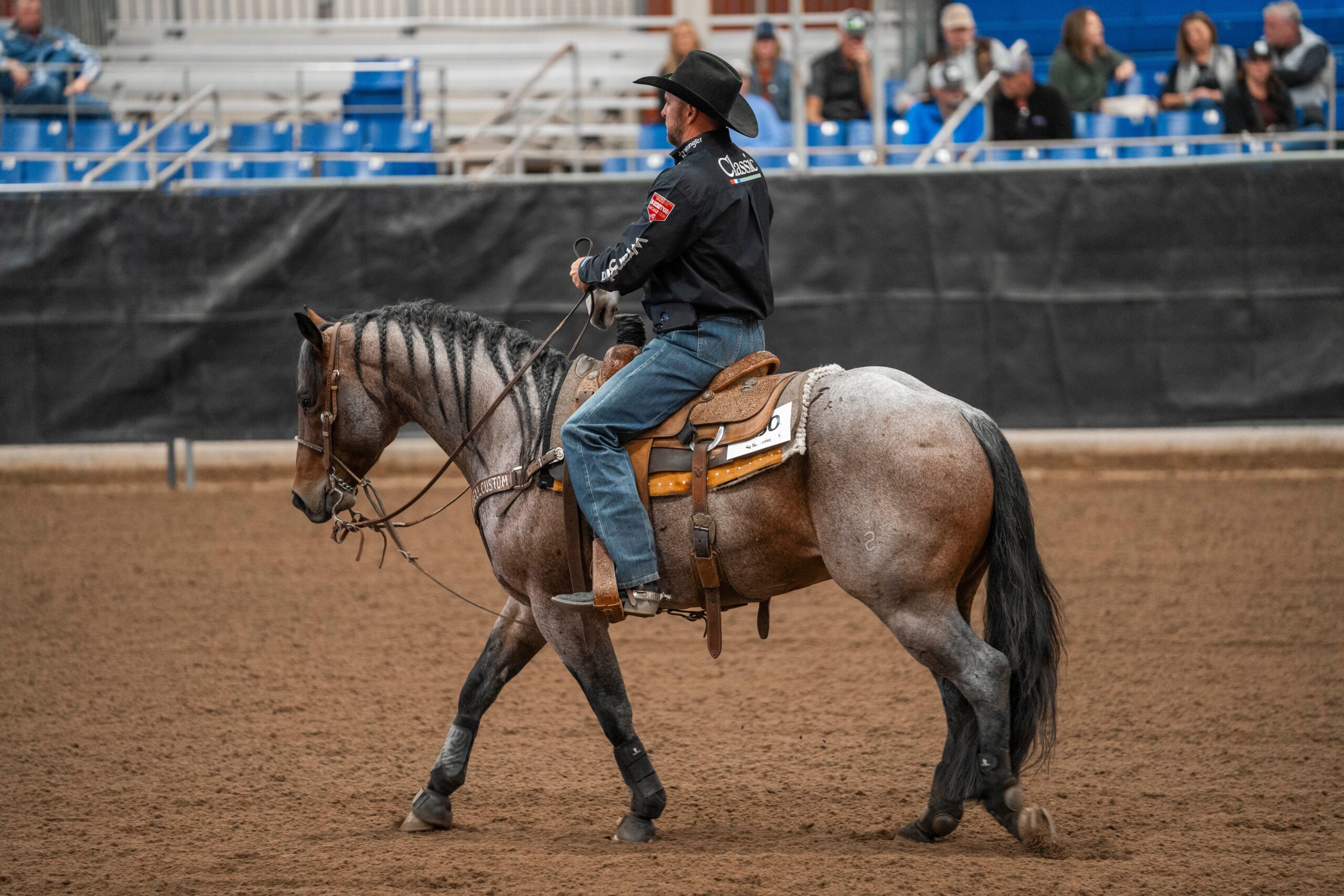 Why It Pays to Breed to Nu One Time Blues: A Look at His Stallion Incentives