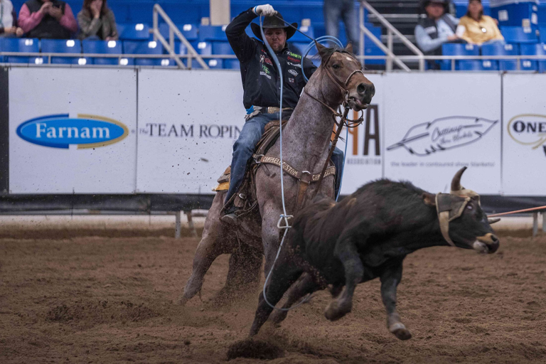 Nu One Time Blues Enters Uncharted Waters with BFI Reserve Championship & Top Heel Horse