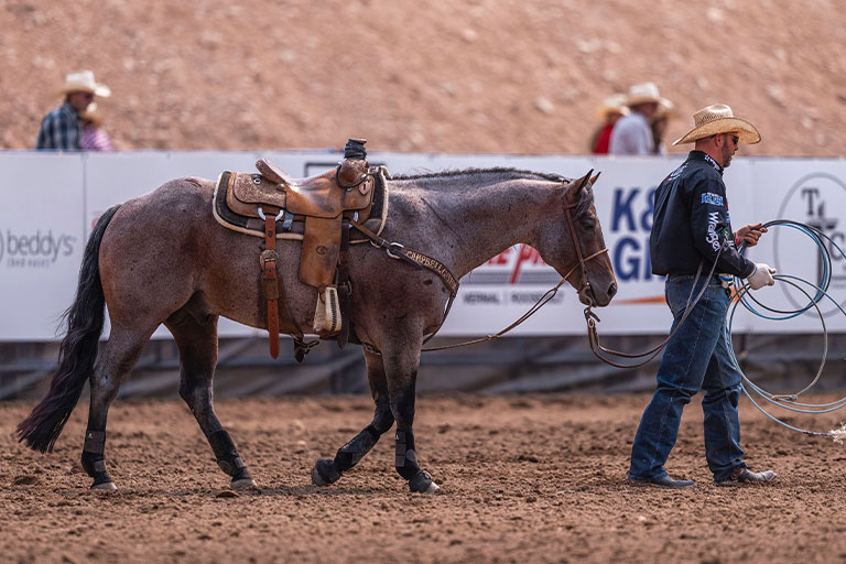 Back for More: Harrison & Boujee Return to the Old West Futurity in Utah