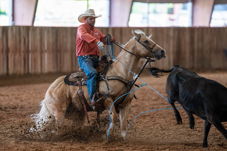 High Hopes for Magnum at Cowtown: Magnums Shinin Spark
